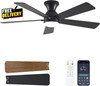 Ceiling Fans with Lights and Remote, 48 Inch Ceiling Fan with Light, Low Profile gallery