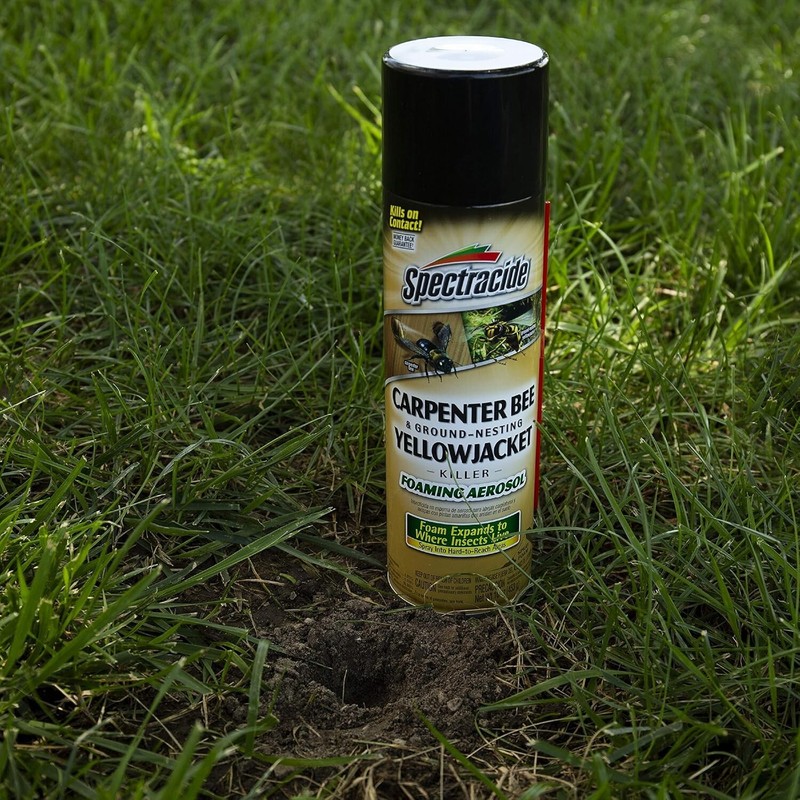 Spectracide Carpenter Bee & Nesting Yellowjacket Killer Spray 16Oz Each gallery