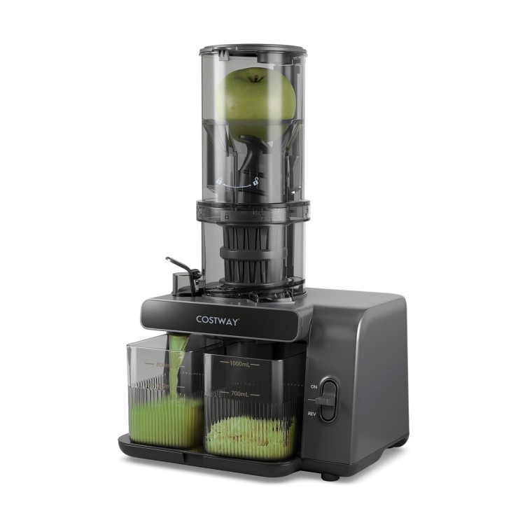 Cold Press Juicer with 5.3" Feed Chute, 28oz Capacity, 43 RPM gallery