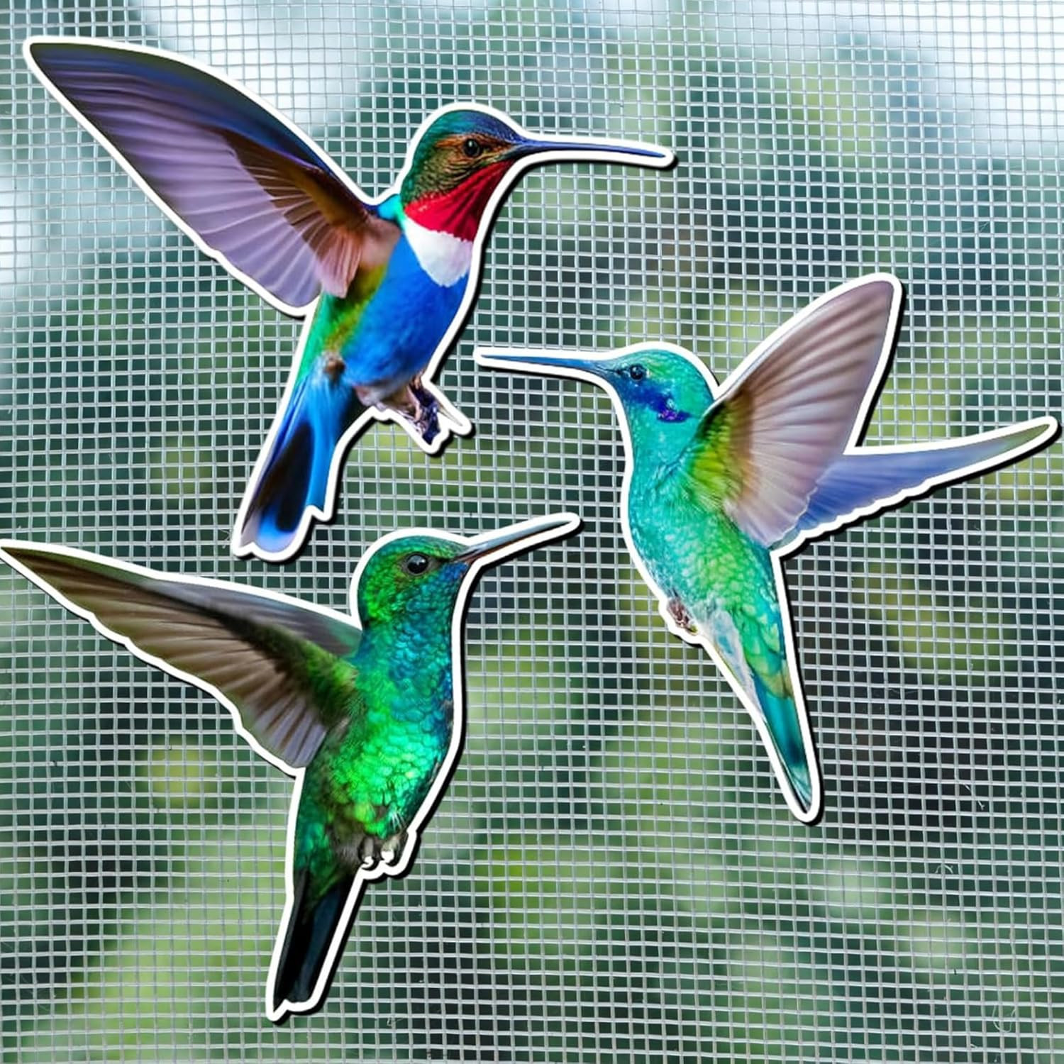 6 Pcs Hummingbird Screen Door Magnets Double Sided Flexible Screen Magnets Decor gallery
