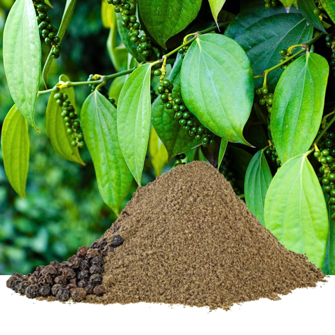Black Pepper Powder | 100% Pure Natural Organic Peppercorns | Premium Spices gallery