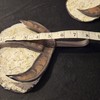 Rustic Farmhouse Metal Wall Hooks Set 2 Cotton Hangers Distressed Vintage Style gallery