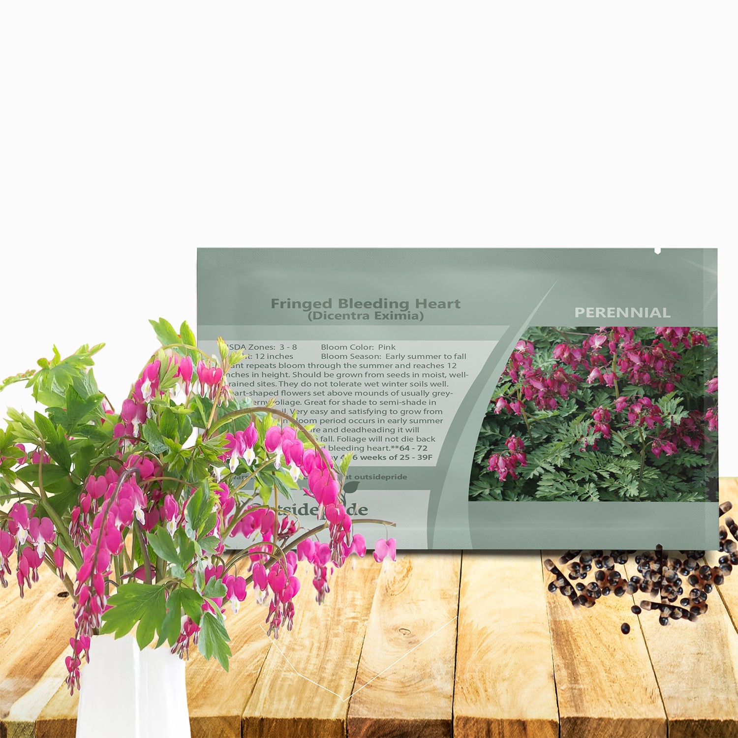 100 Seeds Dicentra Seeds - Fringed Bleeding Heart - Dicentra Eximia Flower Seeds gallery