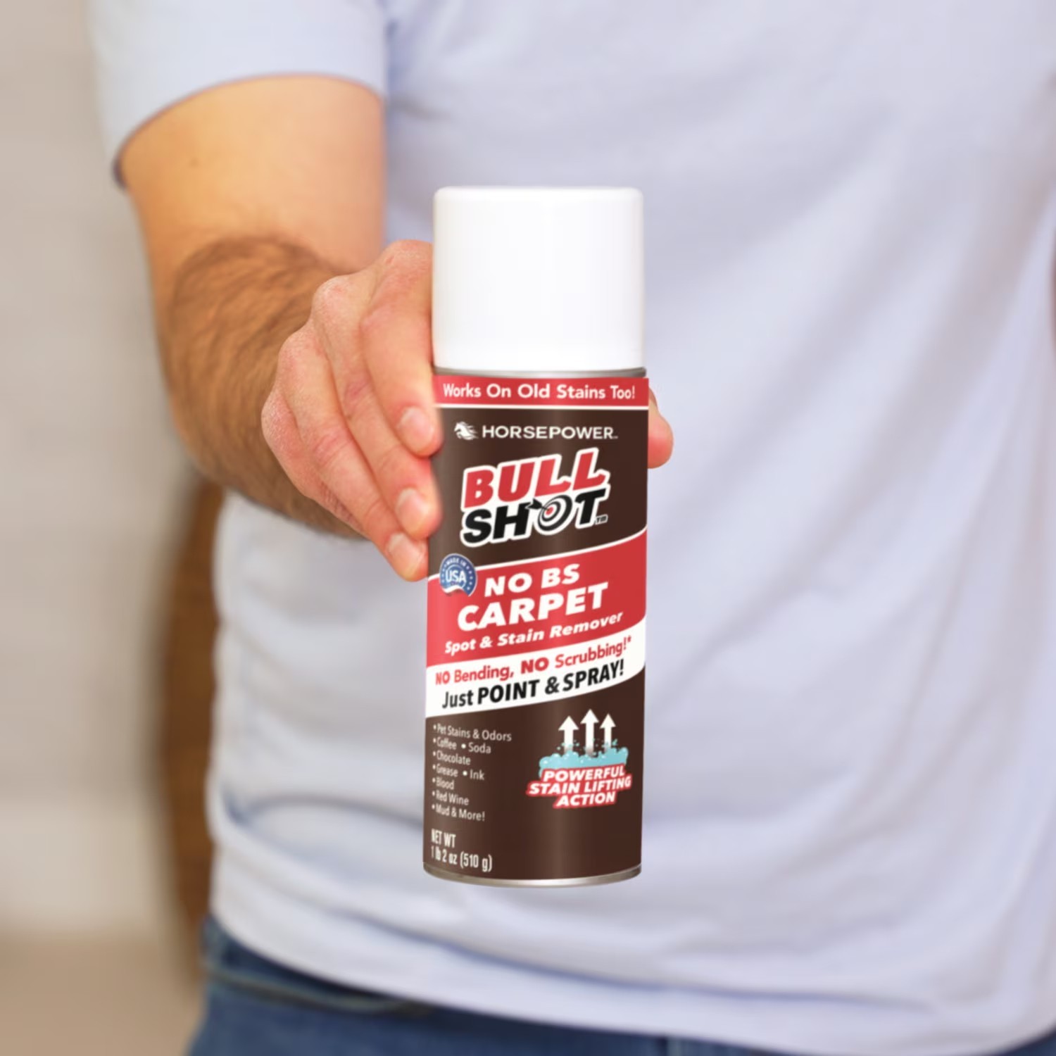 Bull Shot Carpet Spot & Stain Remover by Horsepower - Free Shipping gallery