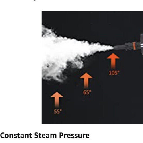 Bed Bug Steamer Kill Bed Bugs & Eggs Kills Fast Non Toxic Child Safe Poison Free gallery