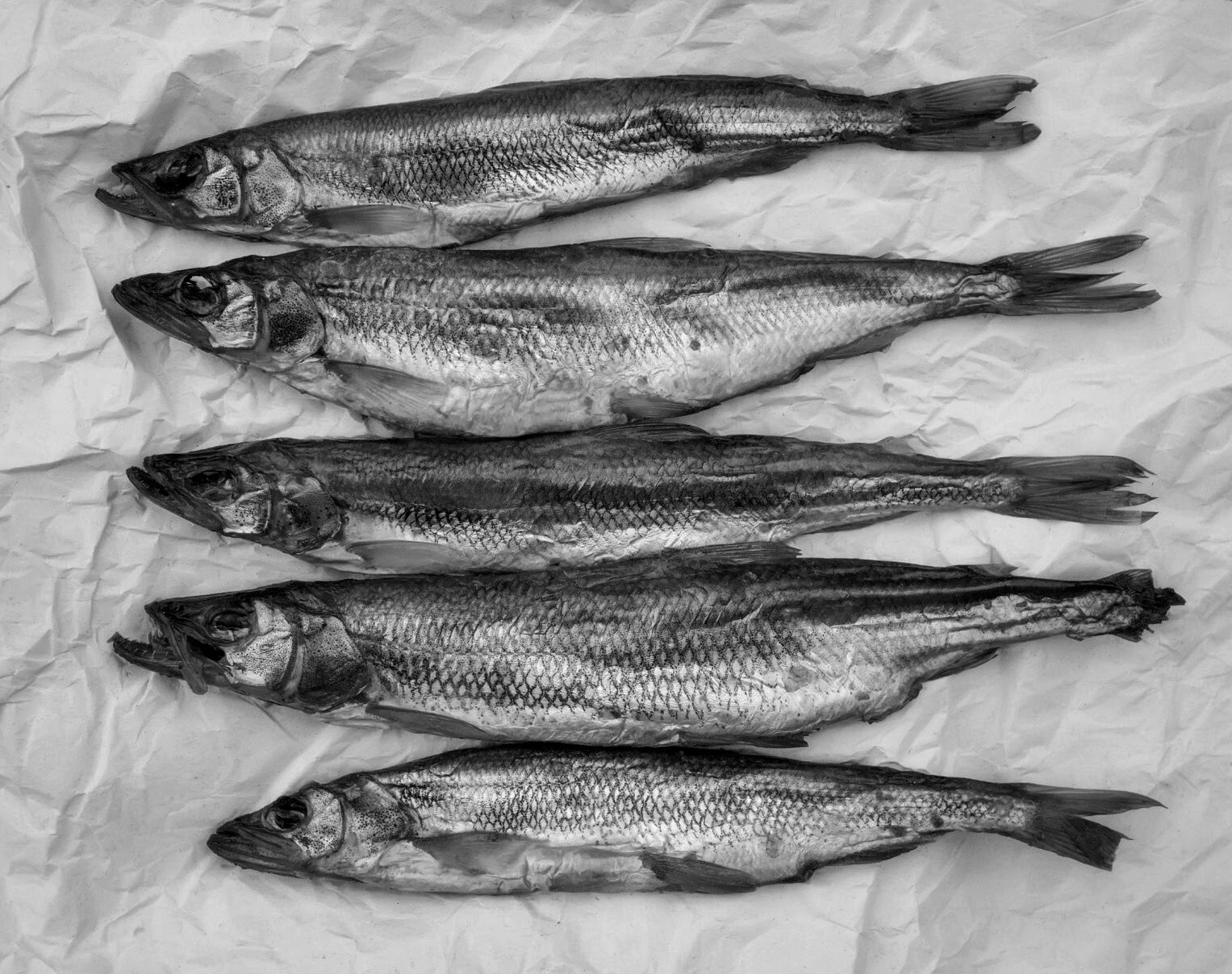 Sun Dried Well Cleaned Keeramin Dry Fish Best Quality Ceylon Sea Food Tasty gallery