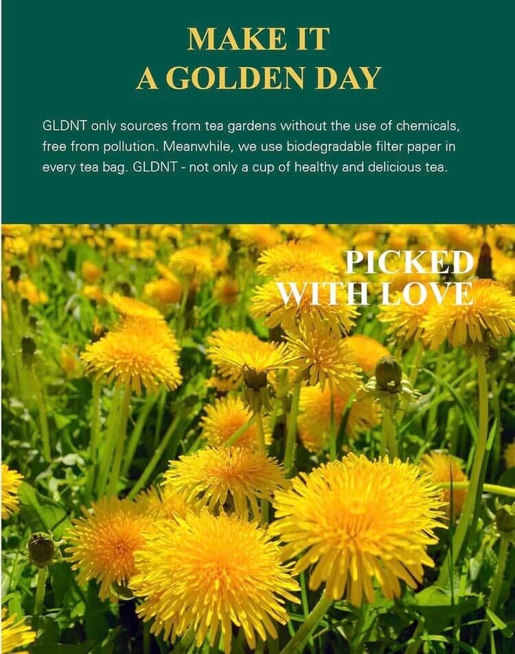 GLDNT Premium Organic Dandelion Root Tea Bags 100-Count Exp 1/1/27 New Sealed gallery