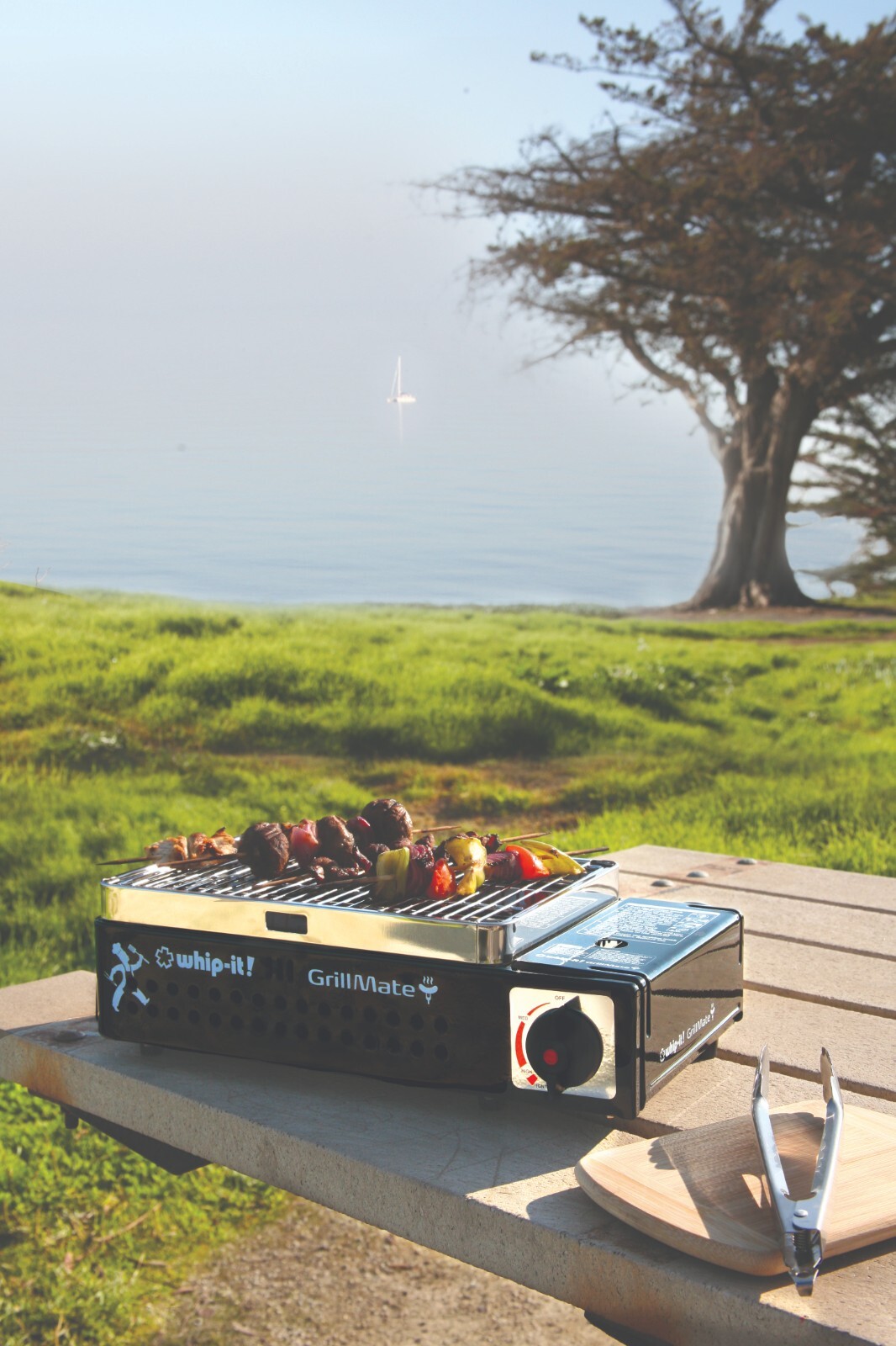WHIP IT GrillMate Portable BBQ GRILL Hard Case Butane STOVE FUEL Camping gallery