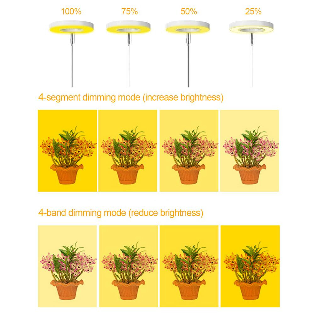 LED Grow Light Full Spectrum Phyto Grow Lamp USB Phytolamp For Plants lightening gallery