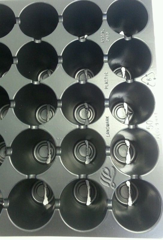 10 Black Plastic PLUG SHEETS - 50 cells per flat- INSERTS SEED STARTING gallery