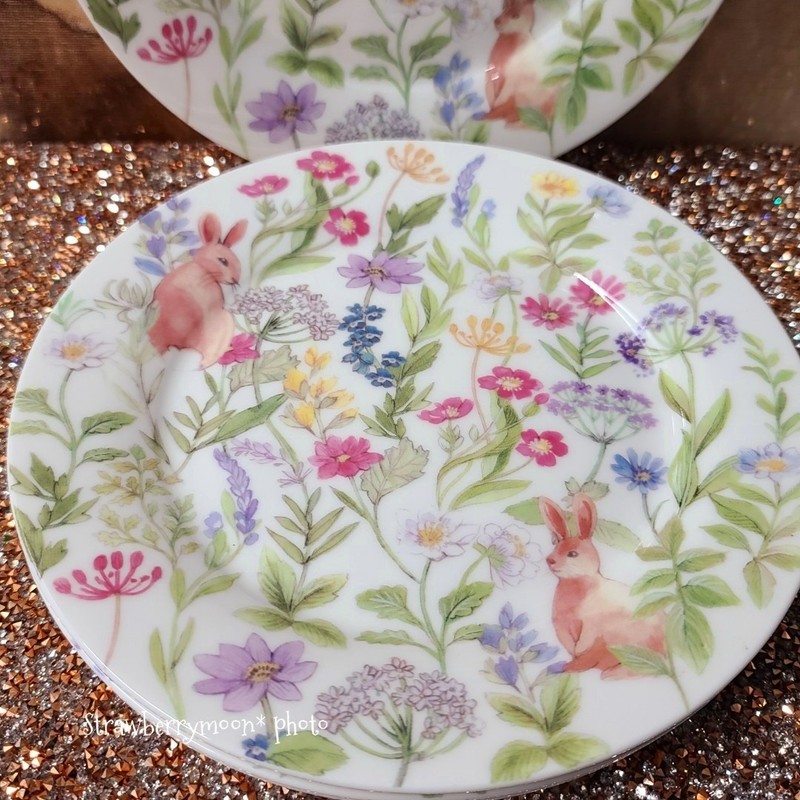 4 Gracie Bone China Wildflower Easter Bunny Rabbit Salad App Dessert Plate Set gallery