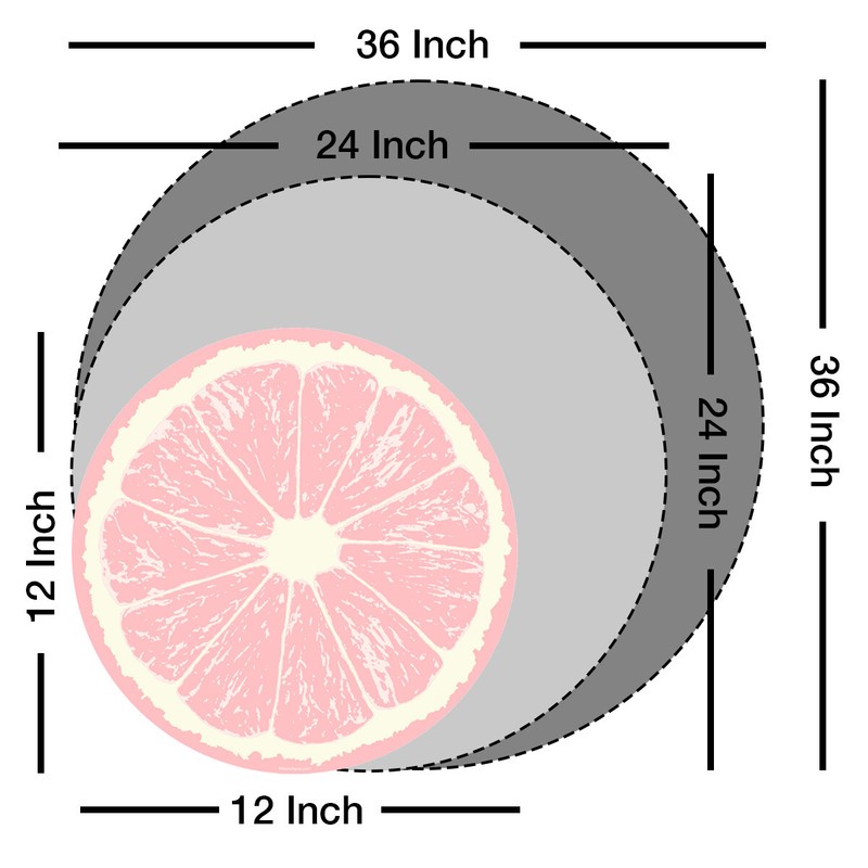 Grapefruit Fruit Slice Citrus Kitchen Wall Decal Retro Decor gallery