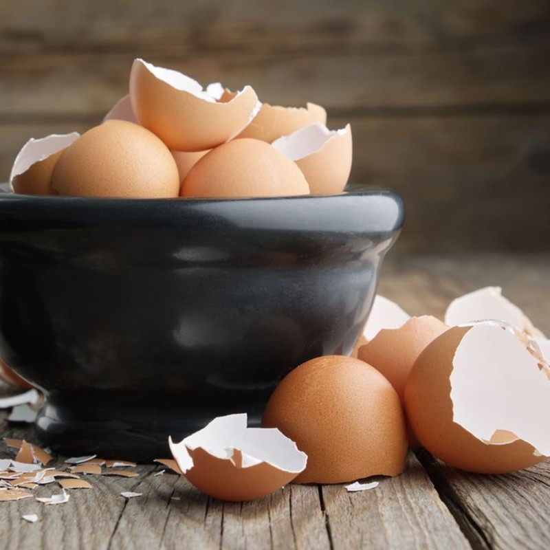 100% Organic Egg Shell Powder Fertilizer Whitener All Animals Supplement F/Ship gallery