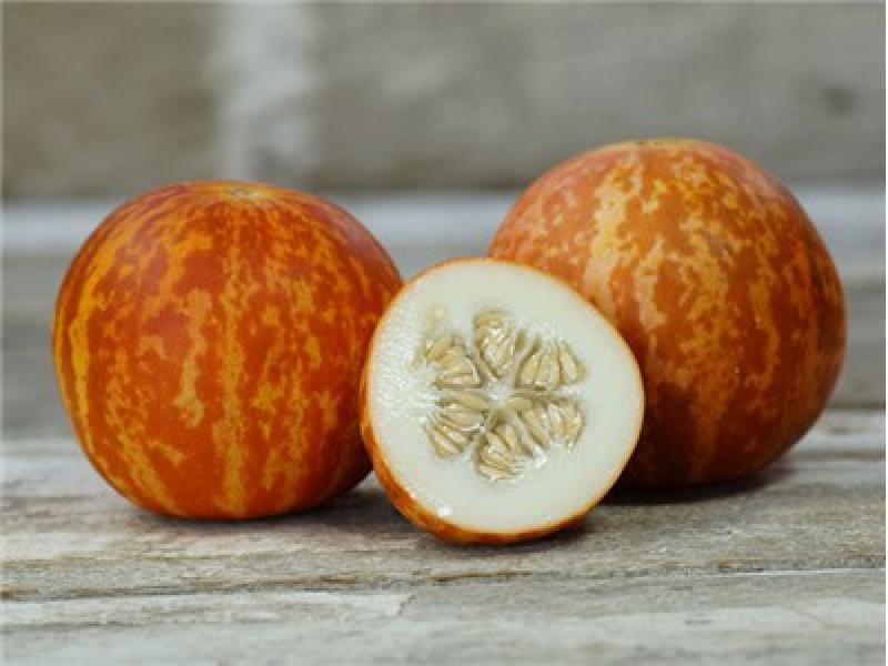 Tigger Melon Seeds, Beautiful and Aromatic, Organic, NON-GMO, FREE SHIPPING gallery