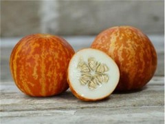 Tigger Melon Seeds, Beautiful and Aromatic, Organic, NON-GMO, FREE SHIPPING