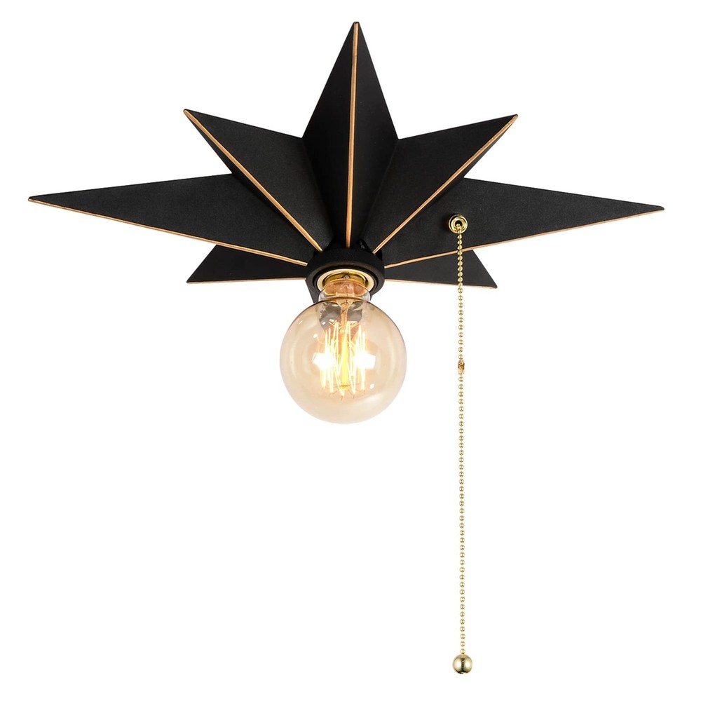 16 inch Flush Mount Ceiling Light with Pull Chain On/Off Switch, Industrial B...