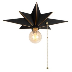 16 inch Flush Mount Ceiling Light with Pull Chain On/Off Switch, Industrial B…