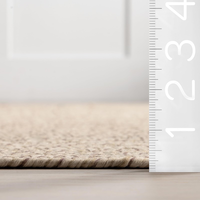 2' x 3' Solid Hand Braided Indoor/Outdoor Area Rug, Pet-Friendly, High Traffi... gallery