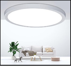 Flush Mount Ceiling Light Fixtures24W Flat Led Light for Ceiling6000K 2200LM U