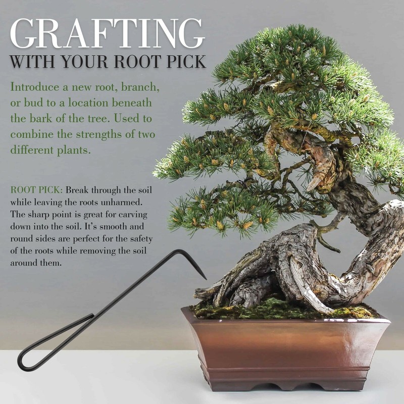Bonsai Tool Set 5pc Root Rake, Shear, Root Pick, Moss Brush gallery