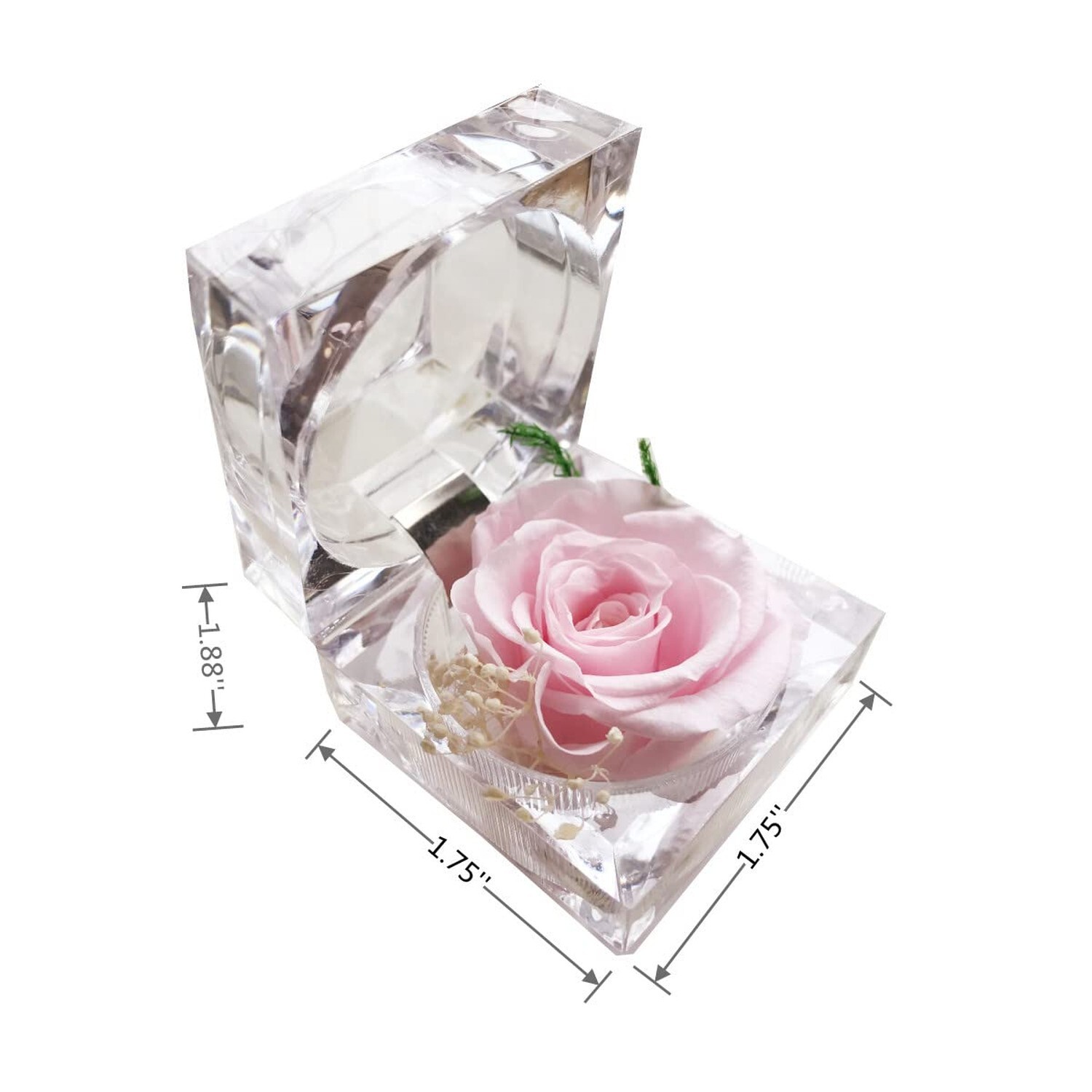 Preserved Rose Real Forever Rose in Mini Clear Ring Box, Eternal Flower Rose ... gallery