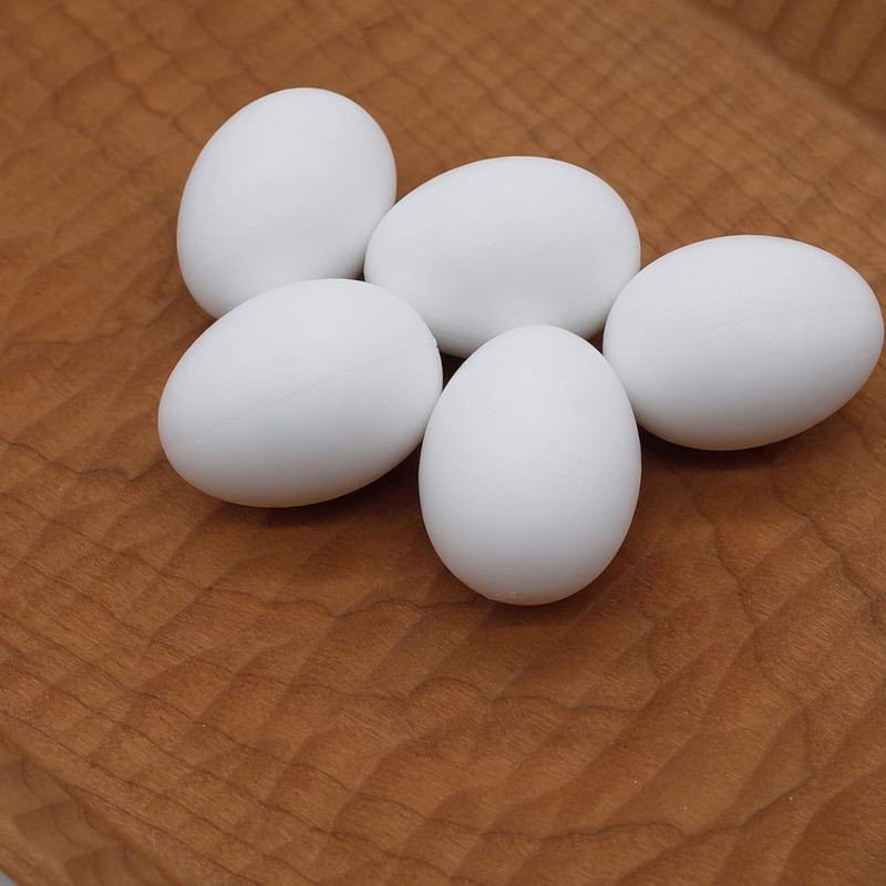 5 Pcs Hatching Eggs for Parrots Macaws Cockatoos and Eclectus - 37mm x 27mm gallery