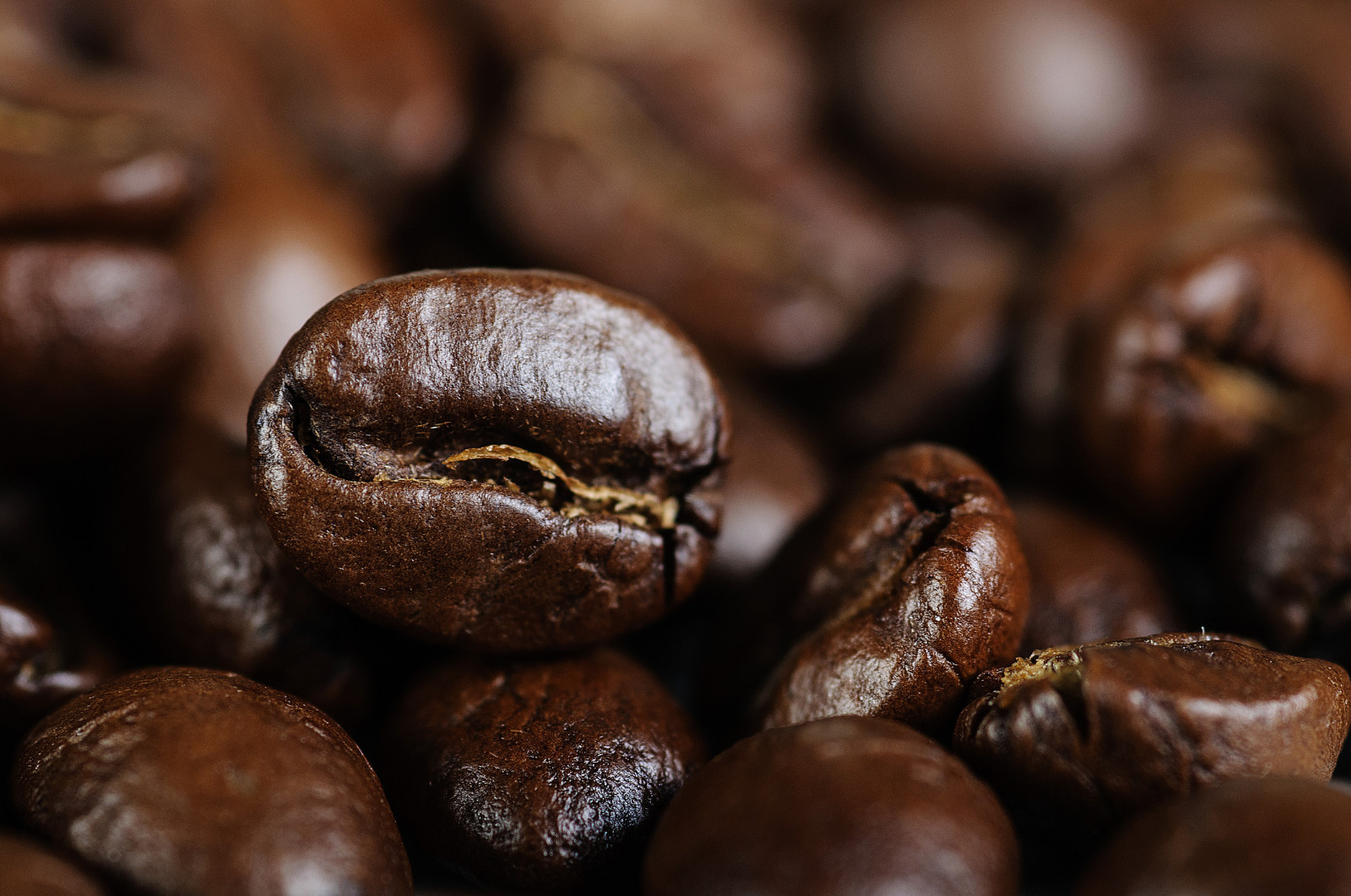 Tom R Coffee. Gourmet Espresso Roast Fresh Roasted Daily 4 Bags gallery