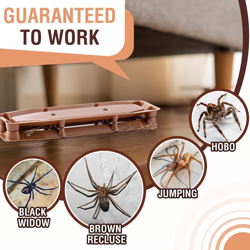 Spider Traps Indoor, 6 Pack, Extra Sticky Brown Recluse Traps, Spiders Killer fo gallery