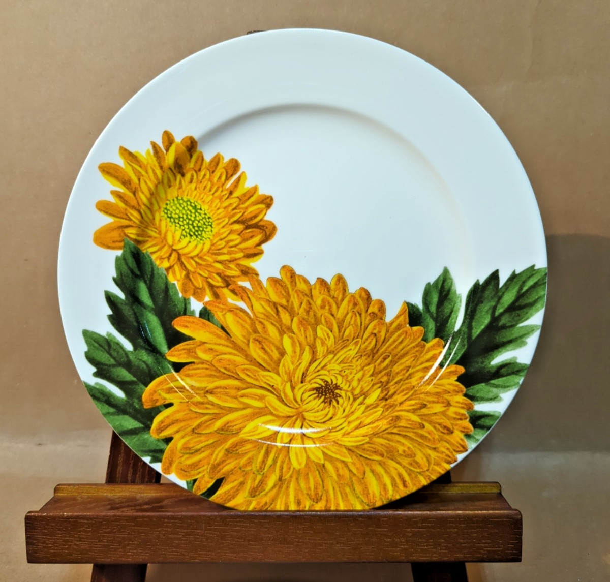 Crate & Barrel Yellow Chrysanthemum Mum Flower 8" Salad Plate Set (6) Fall gallery