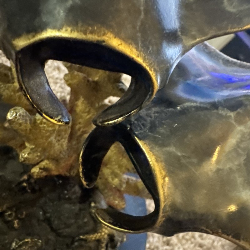 SPI Gallery San Pacific Inter. STINGRAY Solid Brass gallery