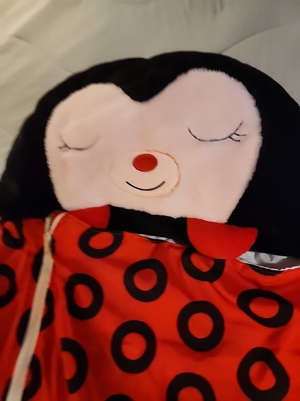 Happy Nappers Ladybug Pillow & Sleeping Bag 2-in-1 - Medium 54"x20" for Kids 3+ gallery