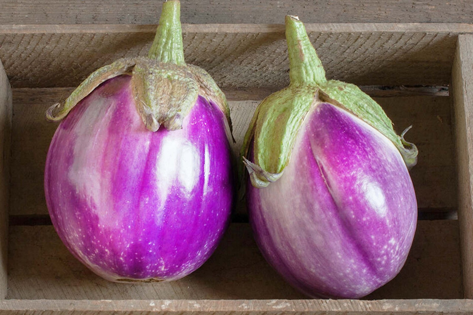 35 Fresh Authentic Rosa Bianca Premium Eggplant Seeds-A 51 gallery