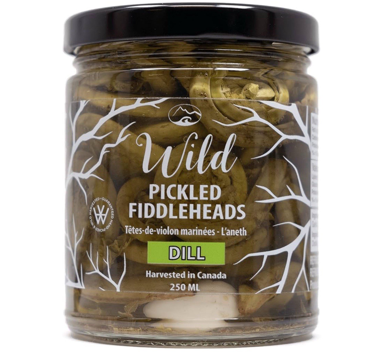 (2 Pack) Wild Pickled Fiddleheads pack of 2 gallery