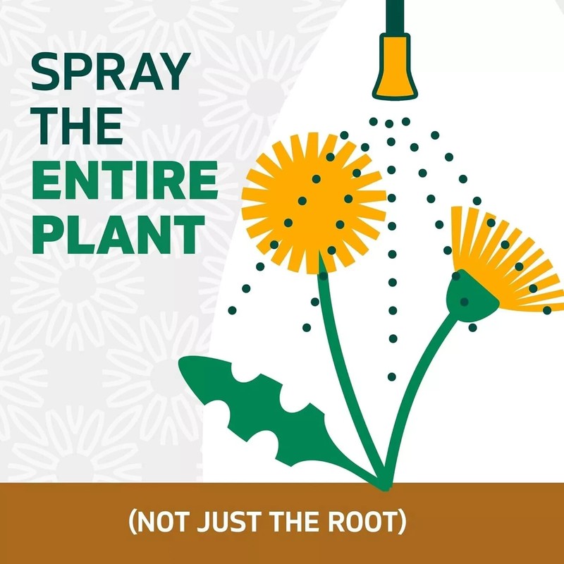 Spruce Snap & Spray Weed & Grass Killer Results in 1 Hour, 64OZ gallery