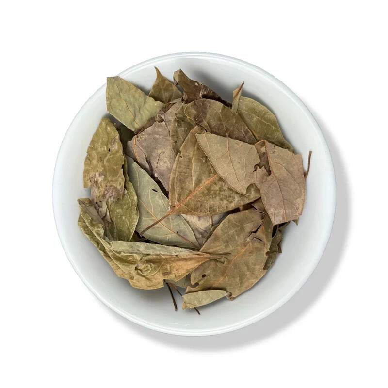 Dried Avocado Leaf - 1 lb - Hojas de Aguacate - Avocado Tea Leaf gallery