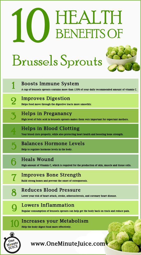 1000 LONG ISLAND BRUSSEL SPROUT Vegetable Seeds-Non GMO-Open Pollinated. gallery