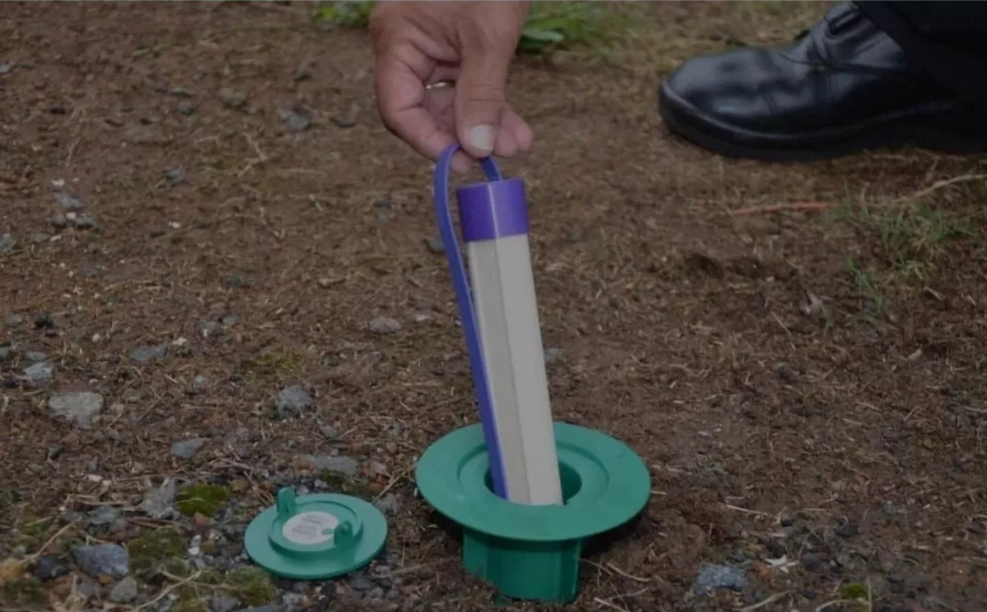 (10) Green SubterraneanTermite In-ground Sticks Stations + 5 Caps gallery