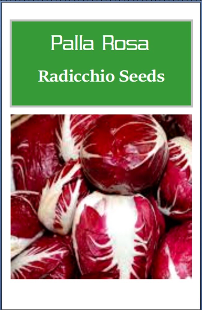 Radicchio Seeds | Palla Rosa | Heirloom | Fresh Garden Seeds gallery
