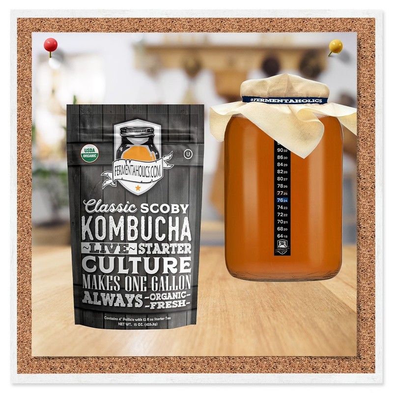 Kombucha Essentials Kit - ORGANIC SCOBY - Brew kombucha at Home gallery