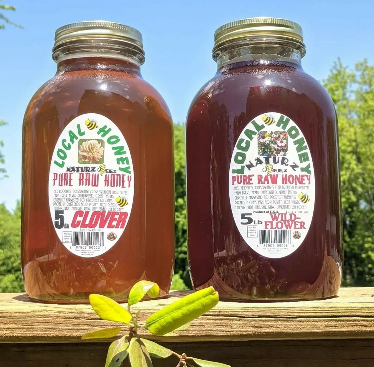 2x RAW HONEY 5LB (Includes Two 5lb Jars) RAW CLOVER 5LB & RAW WILDFLOWER 5LB gallery