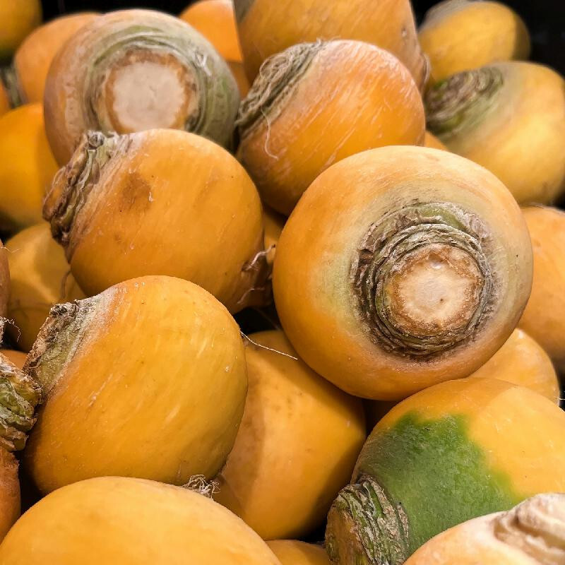5000 TURNIP GOLDEN GLOBE SEEDS. NON - GMO. FRESH FOR 2024 GARDENS gallery