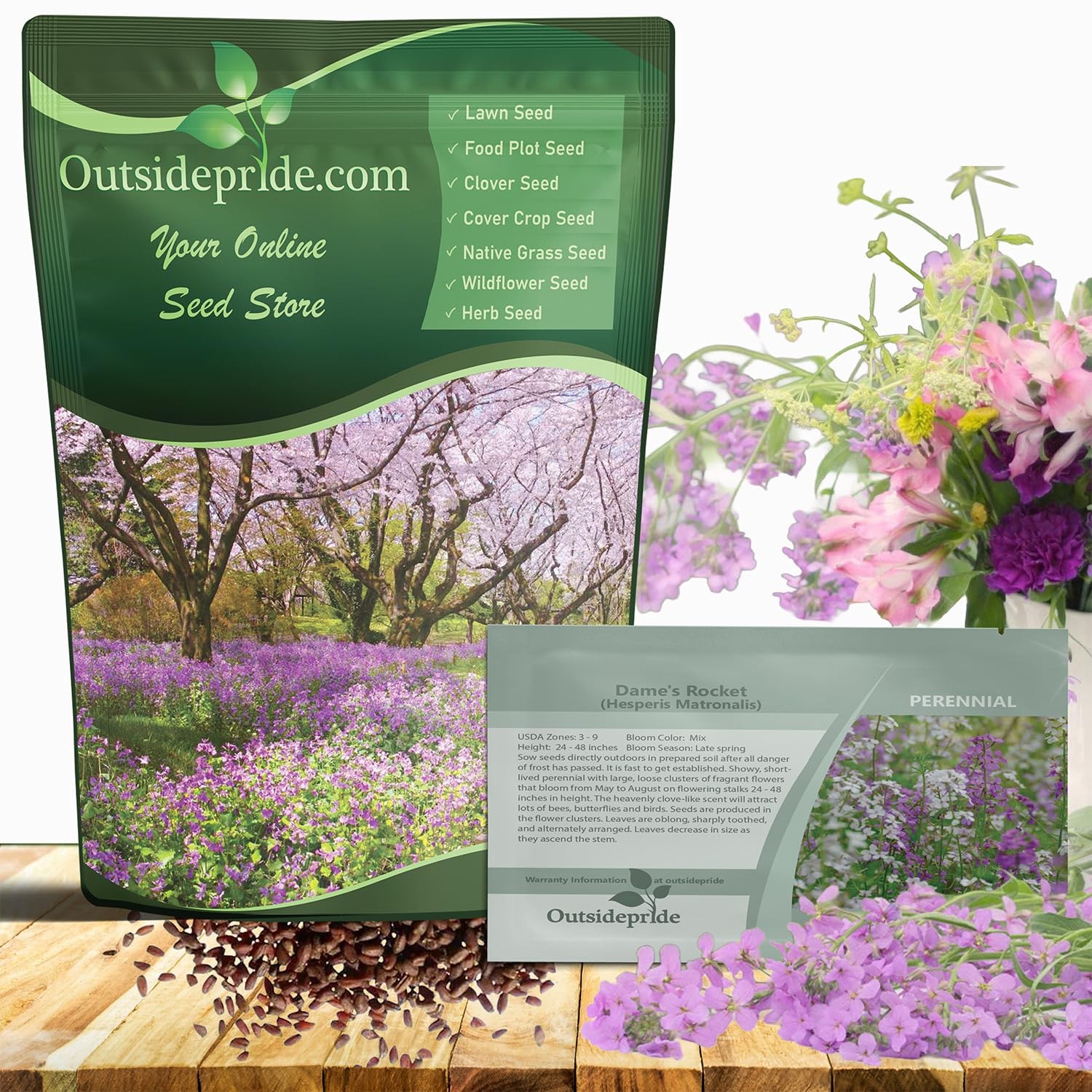 Dame's Rocket Flower Seeds 1/4 Lbs. Perennial Wildflowers for Pollinator gallery