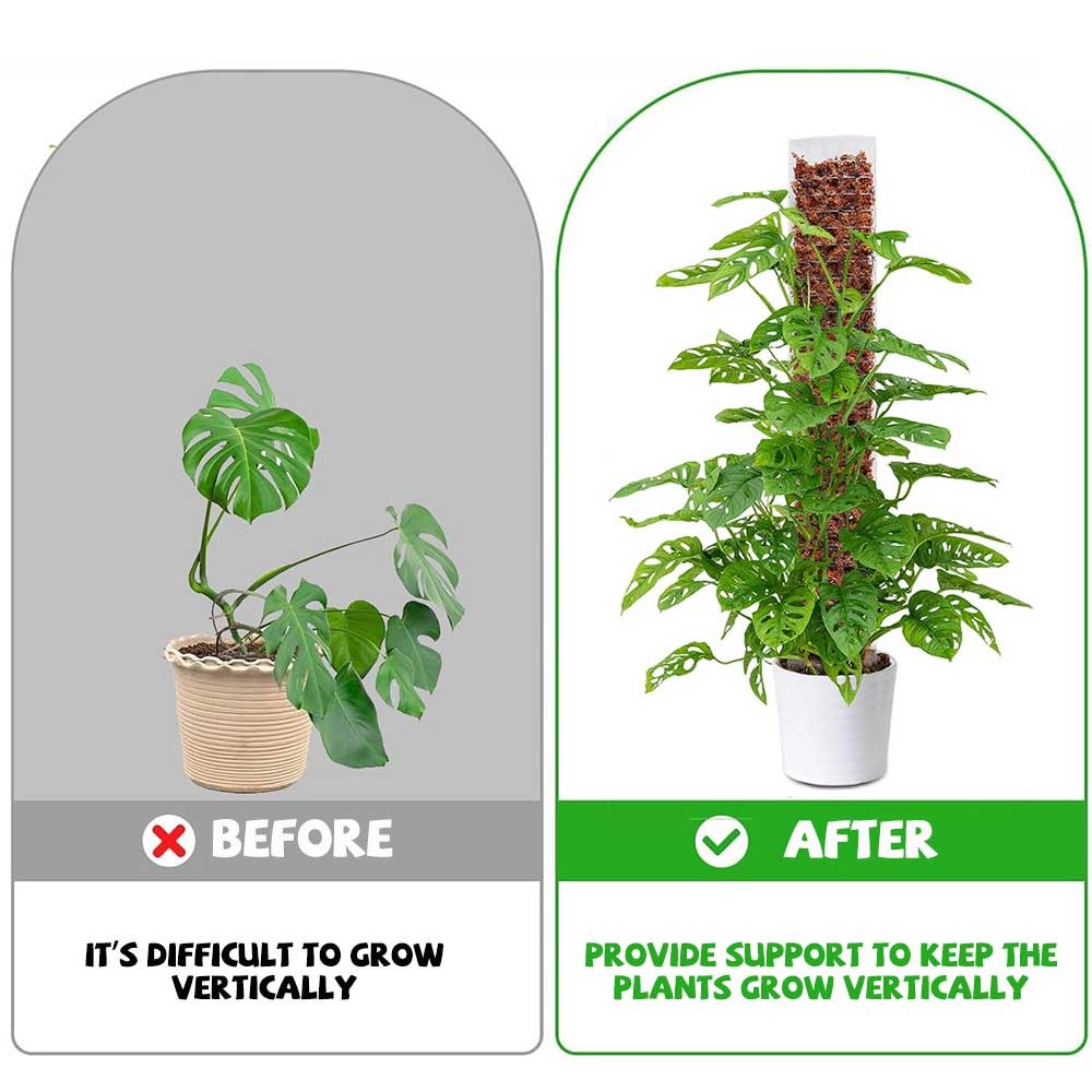 4Pcs Transparent Moss Pole Set 24 inch Stackable Climbing Plant Support Sticks gallery
