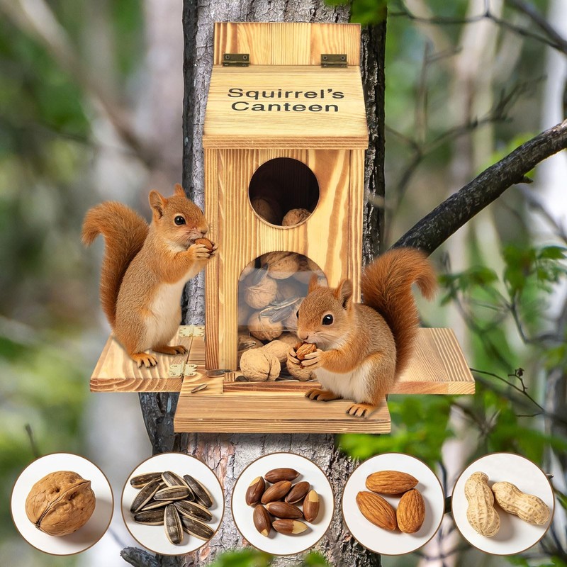 Squirrel Feeder With Standing Panel Wooden Nut Bar For Outside Chipmunk Box gallery