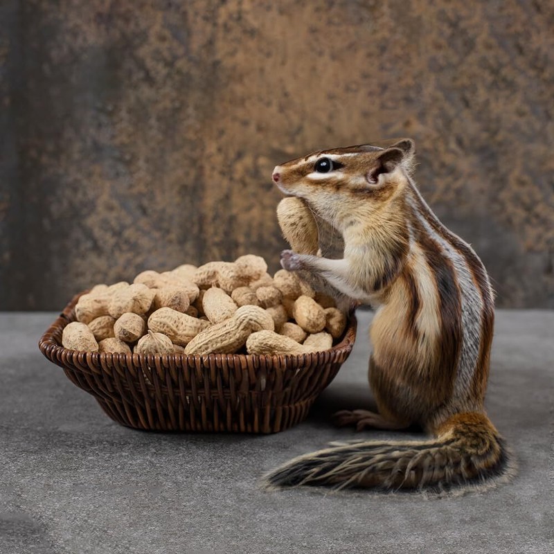 Naturalee Peanuts, Plain In Shell 2 lbs - Raw, Unsalted - Natural Healthy Snack, gallery