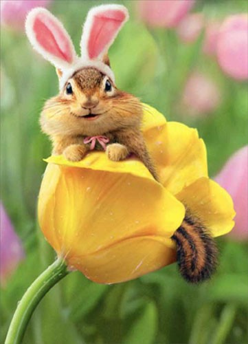 Chipmunk Bunny In Tulip Avanti Easter Card - Greeting Card by Avanti Press gallery