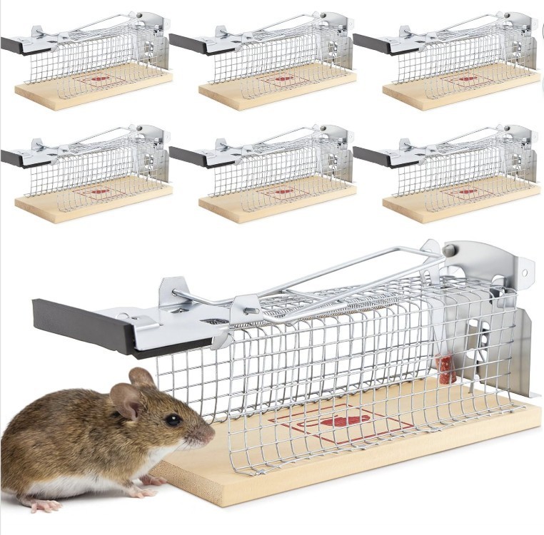 6 Pack Small Humane Mouse Trap, 6 x 2.4 x 2.8 Inch, No Kill, Catch and Release