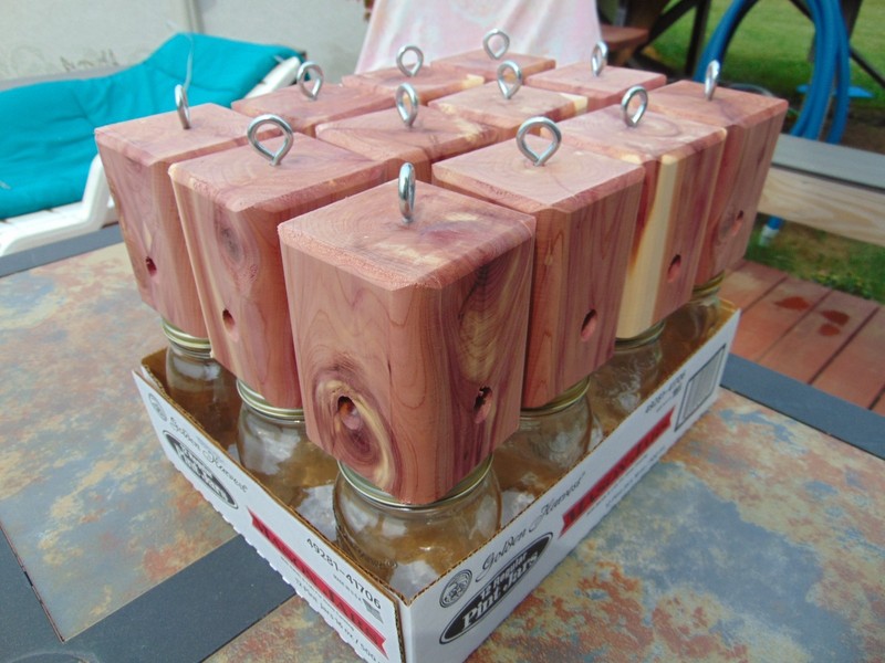 12 Red Cedar carpenter bee-bore cedar traps FREE SHIPPING gallery