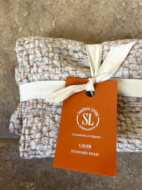 Southern Living Simplicity Caleb Textured Standard Sham 20 x 26 Beige Shades NWT gallery