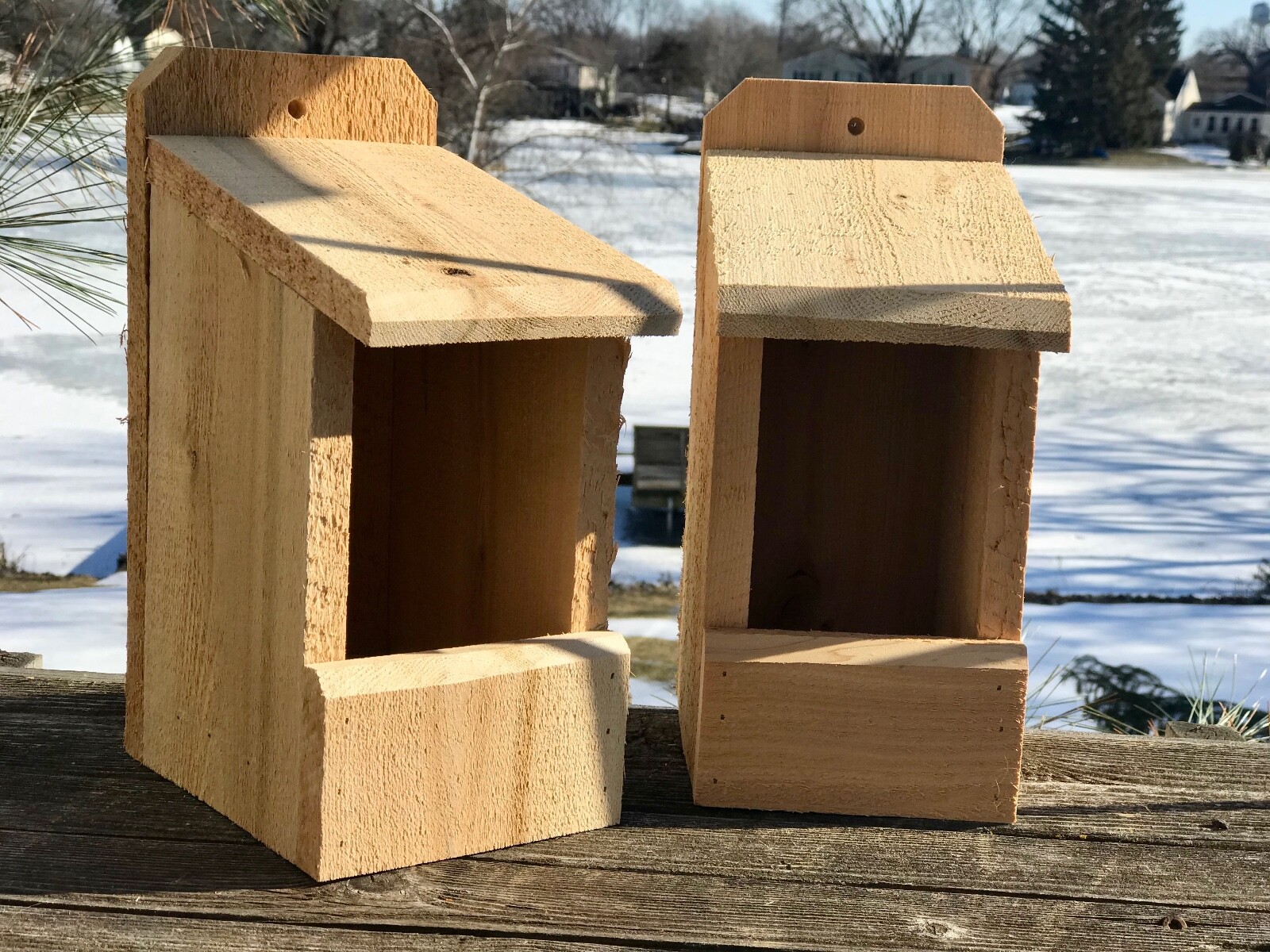 2 Robin Cardinal Wren Chickadee Bird Nesting Box 3/4" Thick CEDAR TOP SELLER! gallery